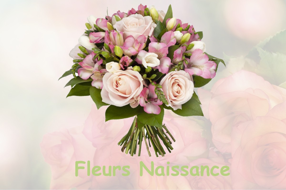 fleurs naissance GRENEVILLE-EN-BEAUCE