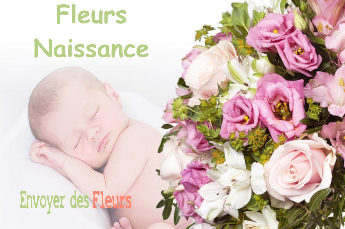 lIVRAISON FLEURS NAISSANCE à GRENEVILLE-EN-BEAUCE